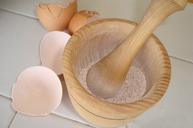 a55c0425a6e214ce8f8114e571bbc1b2_view_l