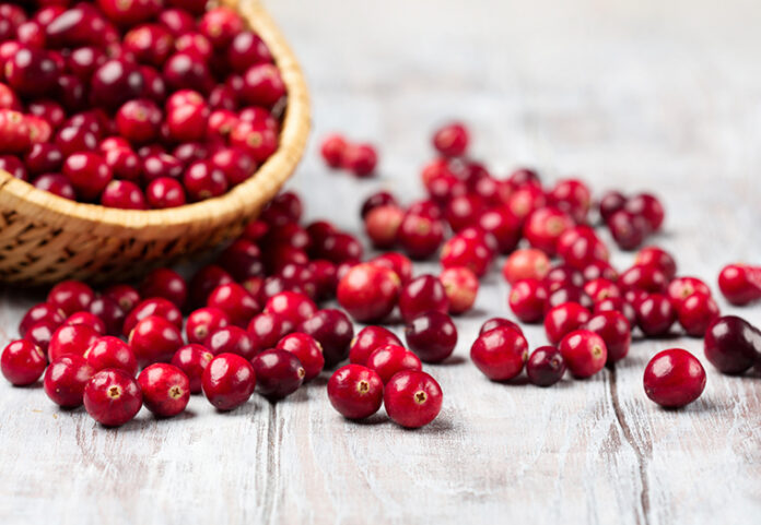 Harvest,Fresh,Red,Cranberries,In,Wicker,Basket,,Selective,Focus.,Autumn