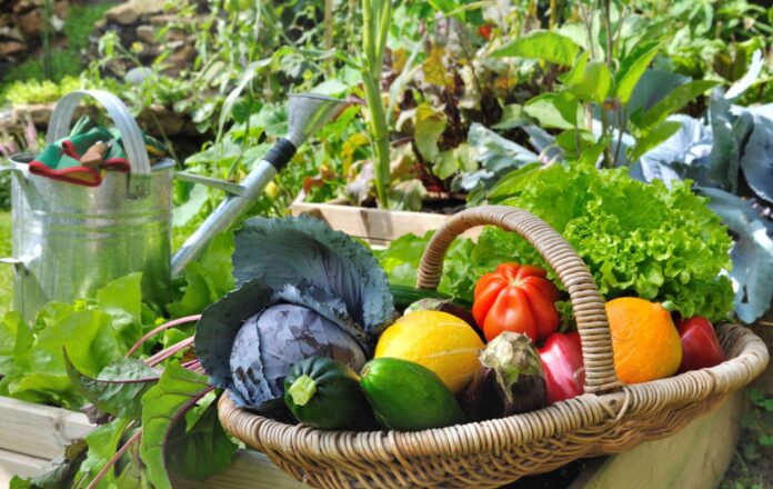 Shutterstock_206155012-1536x972