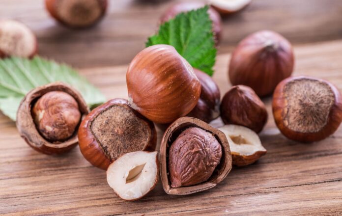 Shutterstock_796484224-1536x972