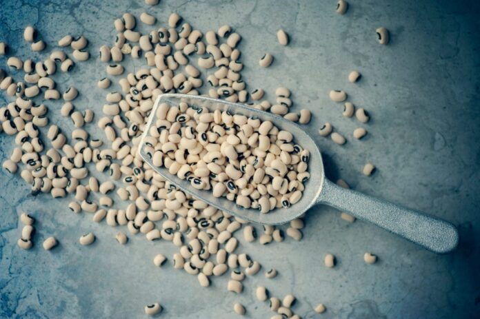 crnooki-pasulj-jasmine-waheed-rZzRWBM7-zw-unsplash-1536x1022