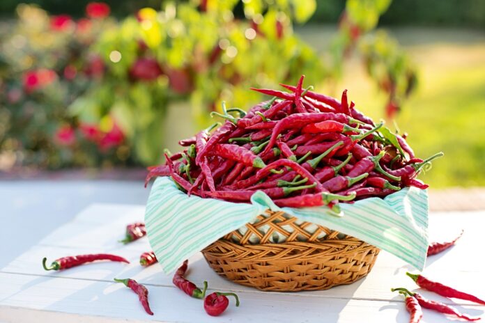 cayenne-peppers-2779828_1920