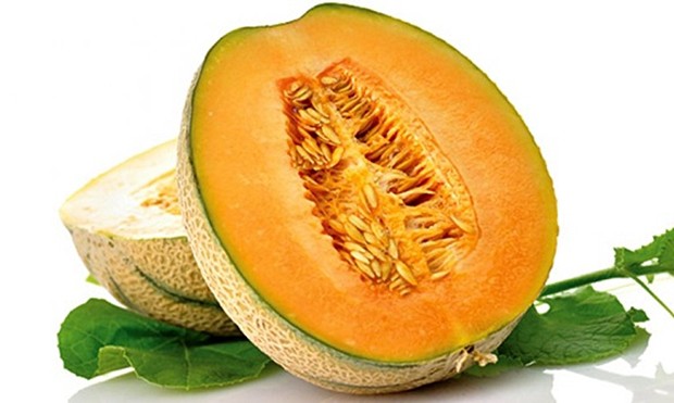 dinja-nutricionizam-1