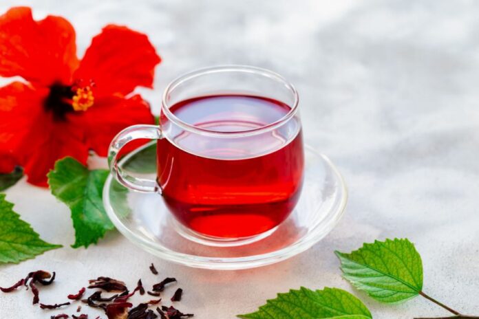 hibiskus-caj-Shutterstock_1151880782-910x607 (1)