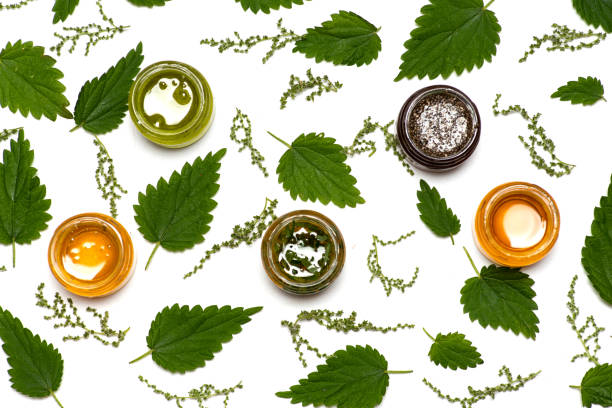 istockphoto-1268305543-612x612