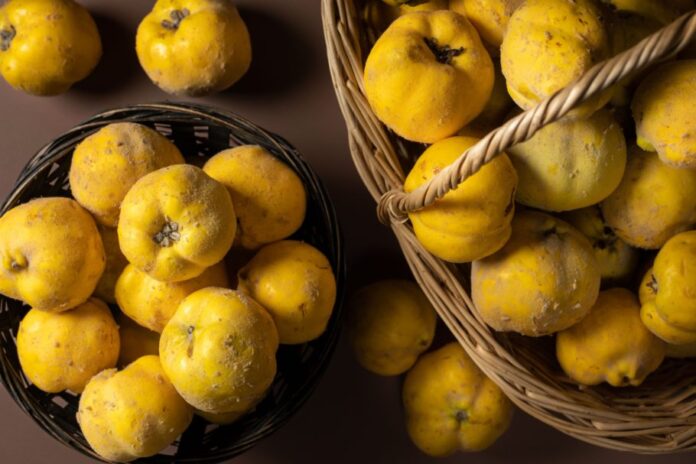 dunja-Shutterstock_2088111274-910x607