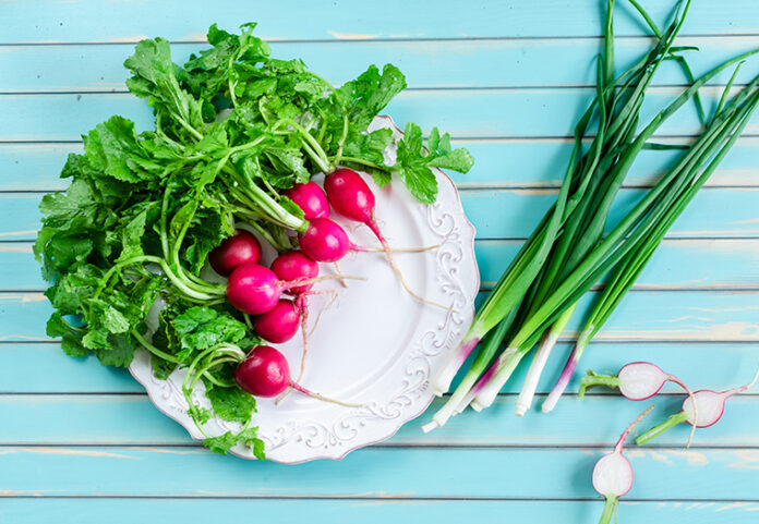 Fresh,Summer,Vegetables,Of,Radish,On,Plate,And,Bunch,Of