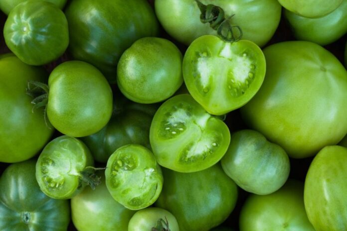 zeleni-paradajz-Shutterstock_486326926-910x607