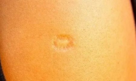 10422F21-4315-44E0-875D-CB0EEA911902