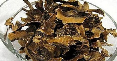 12638781815861776432