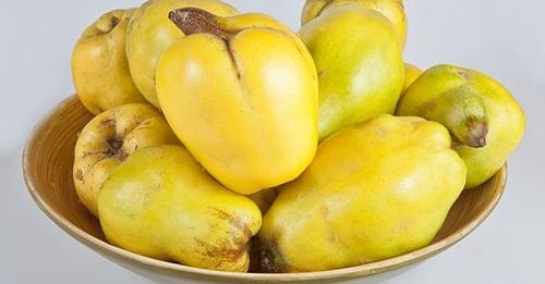 17543961521188064066