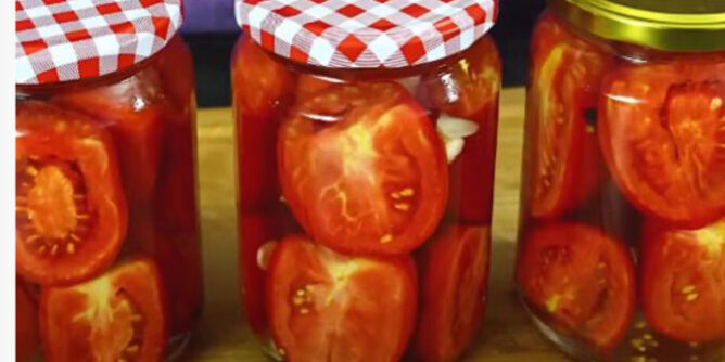 IMG_3672-678x381-1-668x334