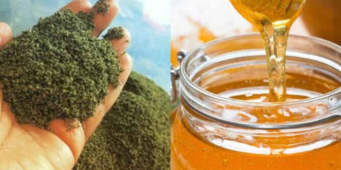 IMG_4874-678x381-1-668x334