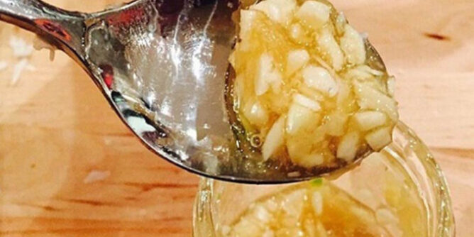 IMG_4935-678x381-1-668x334