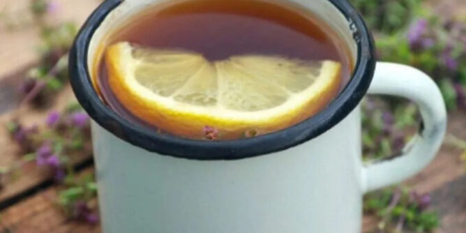 IMG_4965-678x381-1-668x334