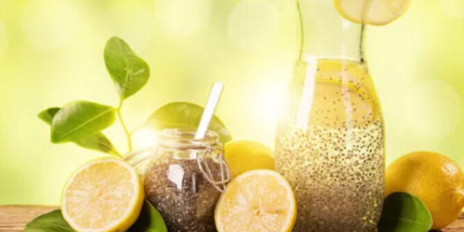 IMG_6290-678x381-1-668x334