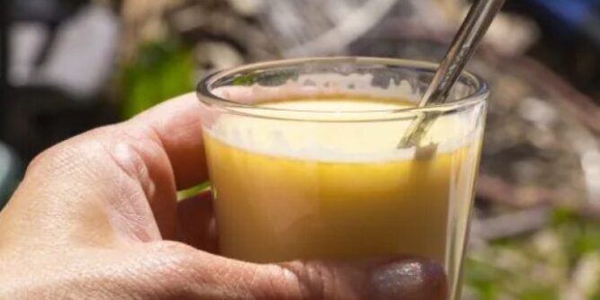 636ecc9e-2214-42e3-898e-459a0a0a0a64-dfg465df4g6df4g65df4g65dfg-599x381-1-690x480-1-668x334-1