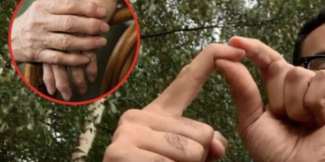 E6CD0105-13D6-4C7D-93D5-BBA053035D88-678x381-1-668x334