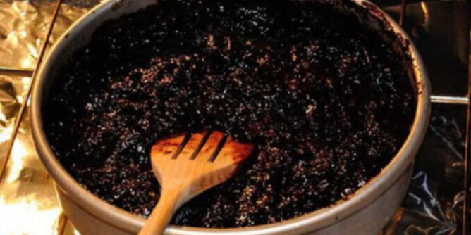 IMG_4905-678x381-1-668x334