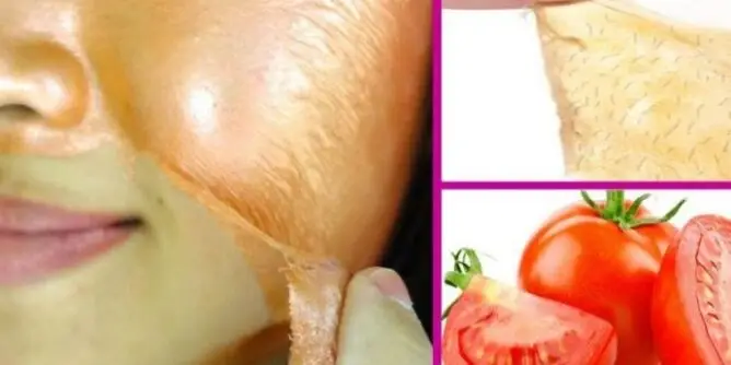 5cc2d62b-cbe8-4ad1-99eb-15ea0a0a0a64-1-690x480-1-668x334-1