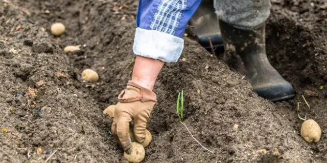 623d7742-9110-4a1f-aa09-472d0a0a0a64-depositphotos-alicjane-1-690x480-1-668x334-1