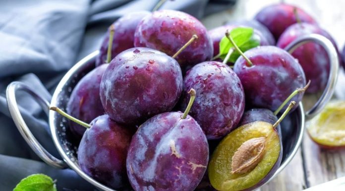 Evo zašto ljudi stariji od 60 godina treba da jedu šljive: Ovako uradite i crijeva rade kao sat!