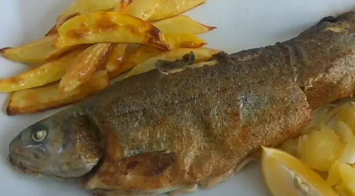 Ovo je najzdravija riba na svijetu: Može usporiti starenje, a usto štiti srce i snižava holesterol