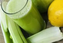 CELER U SVAKODNEVNOJ ISHRANI: Povrće koje mnogi zanemaruju, a prepuno je korisnih nutrijenata